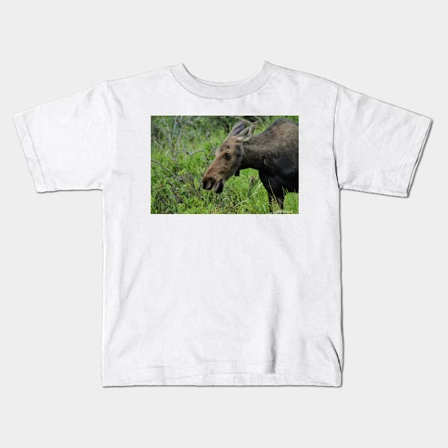 Lovely Lady Moose Kids T-Shirt by Leslie Pino Durant